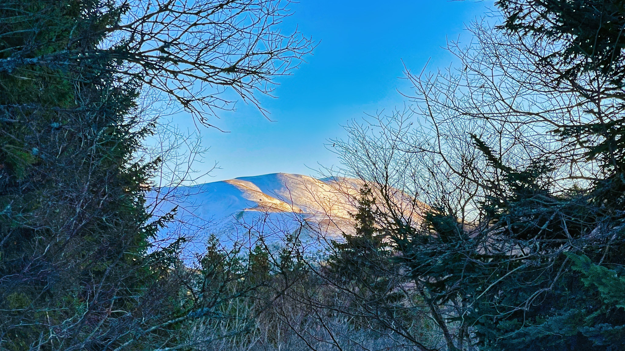 Lac de Guéry : Serenité et Magnificence du Massif Adventif