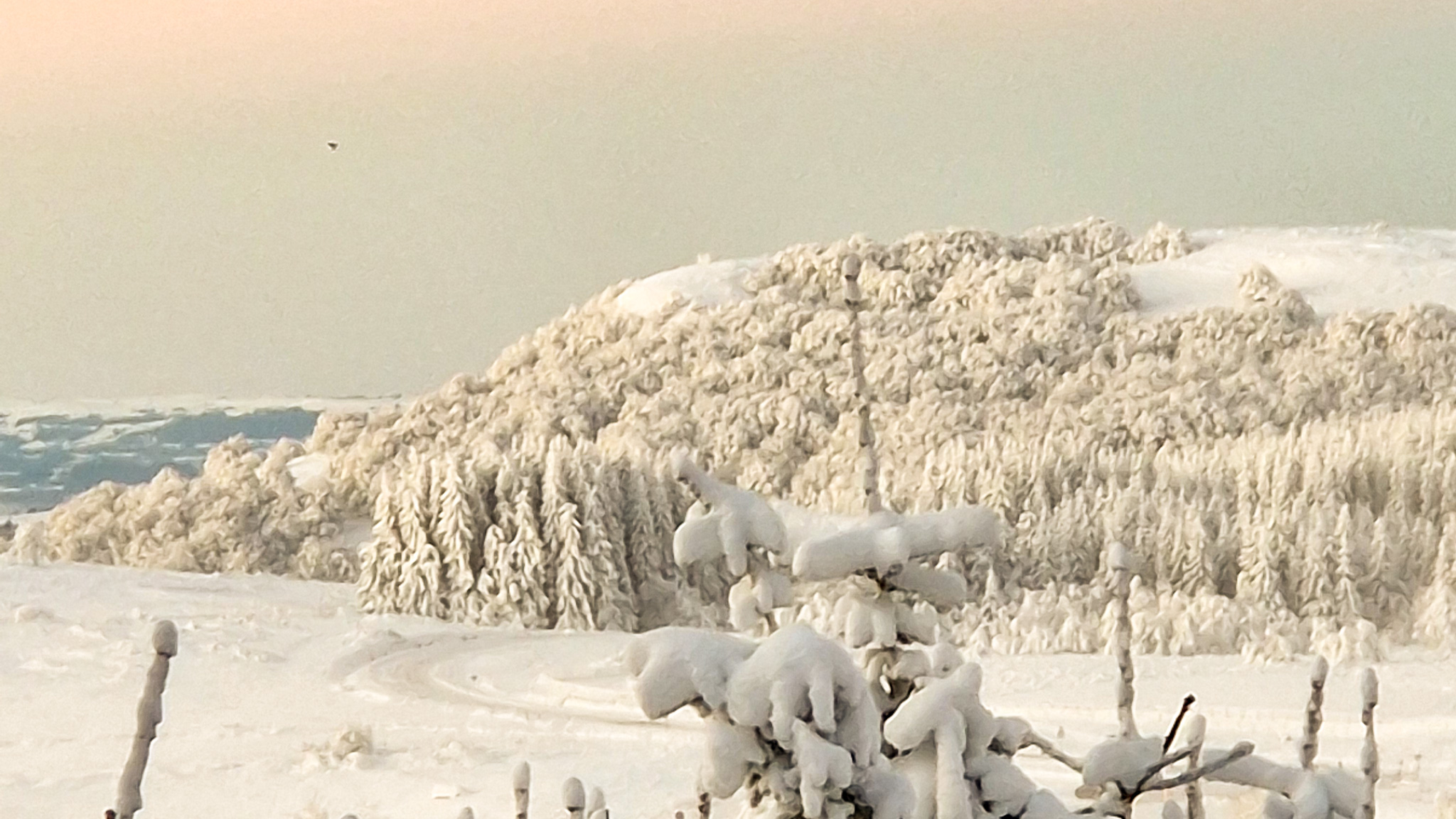 Super Besse : Les Premières Neiges - Un Début d'Hiver Magique