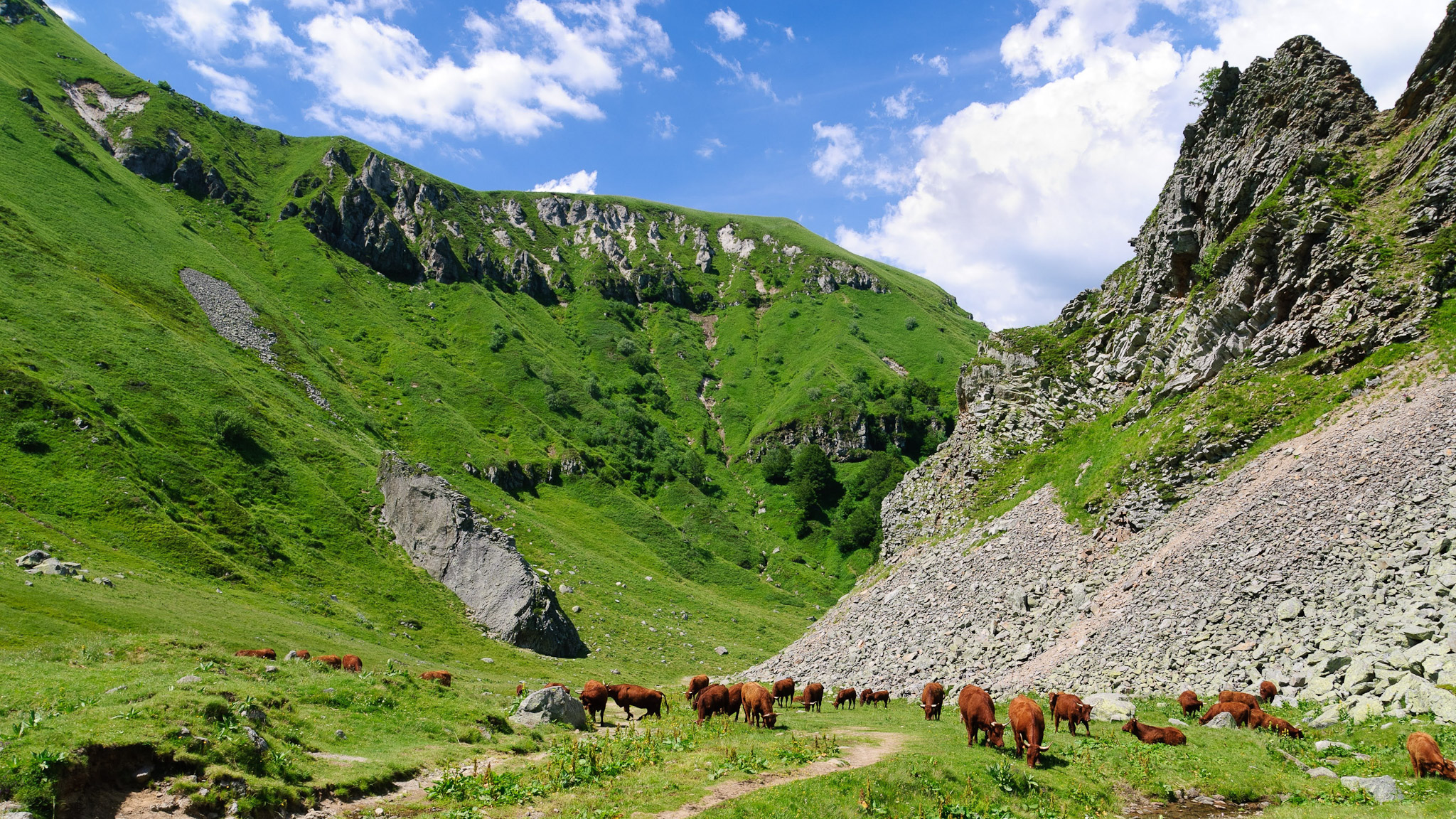 Val de Courre : Estives du Massif du Sancy - Vacances au Coeur de l'Été