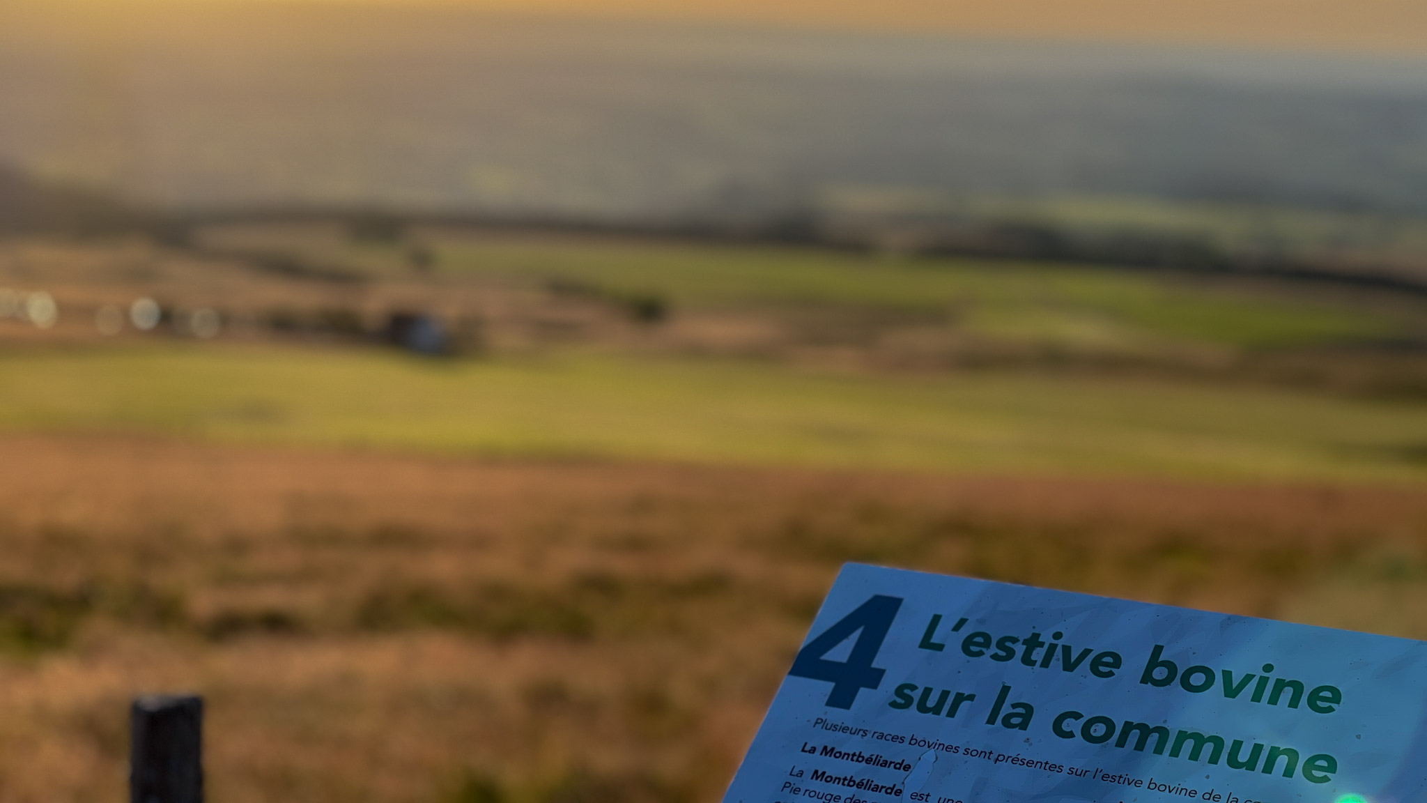 Banne d'Ordanche : Estives du Massif du Sancy - Un Chemin Vers le Sommet