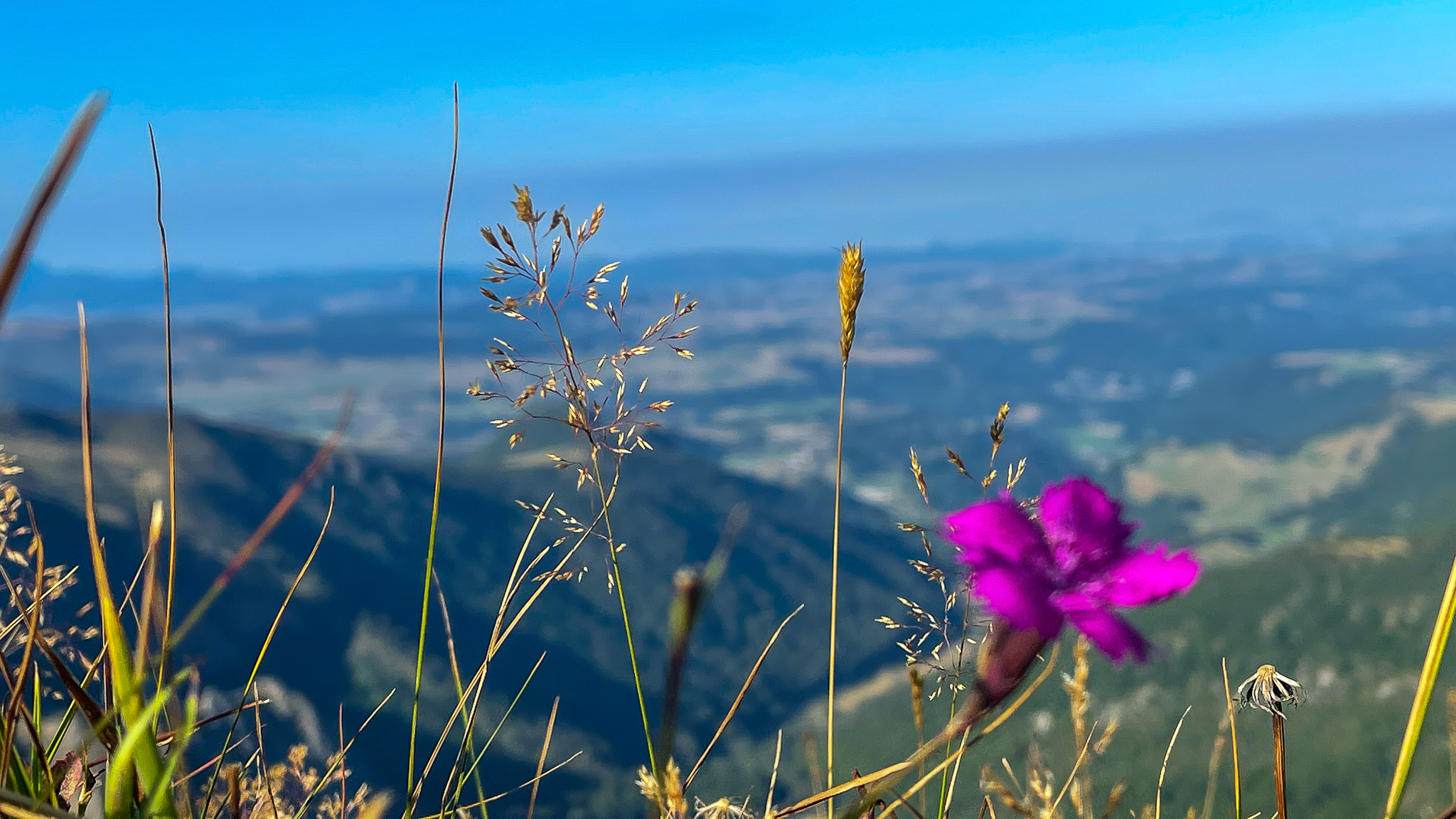 Puy de la Perdrix : Panorama Magnifique sur la Vallée de Chaudefour