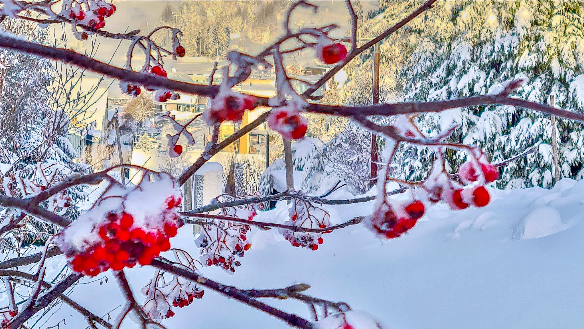 Chalet Ma Cambuse Super Besse - Douceur Sous la Neige