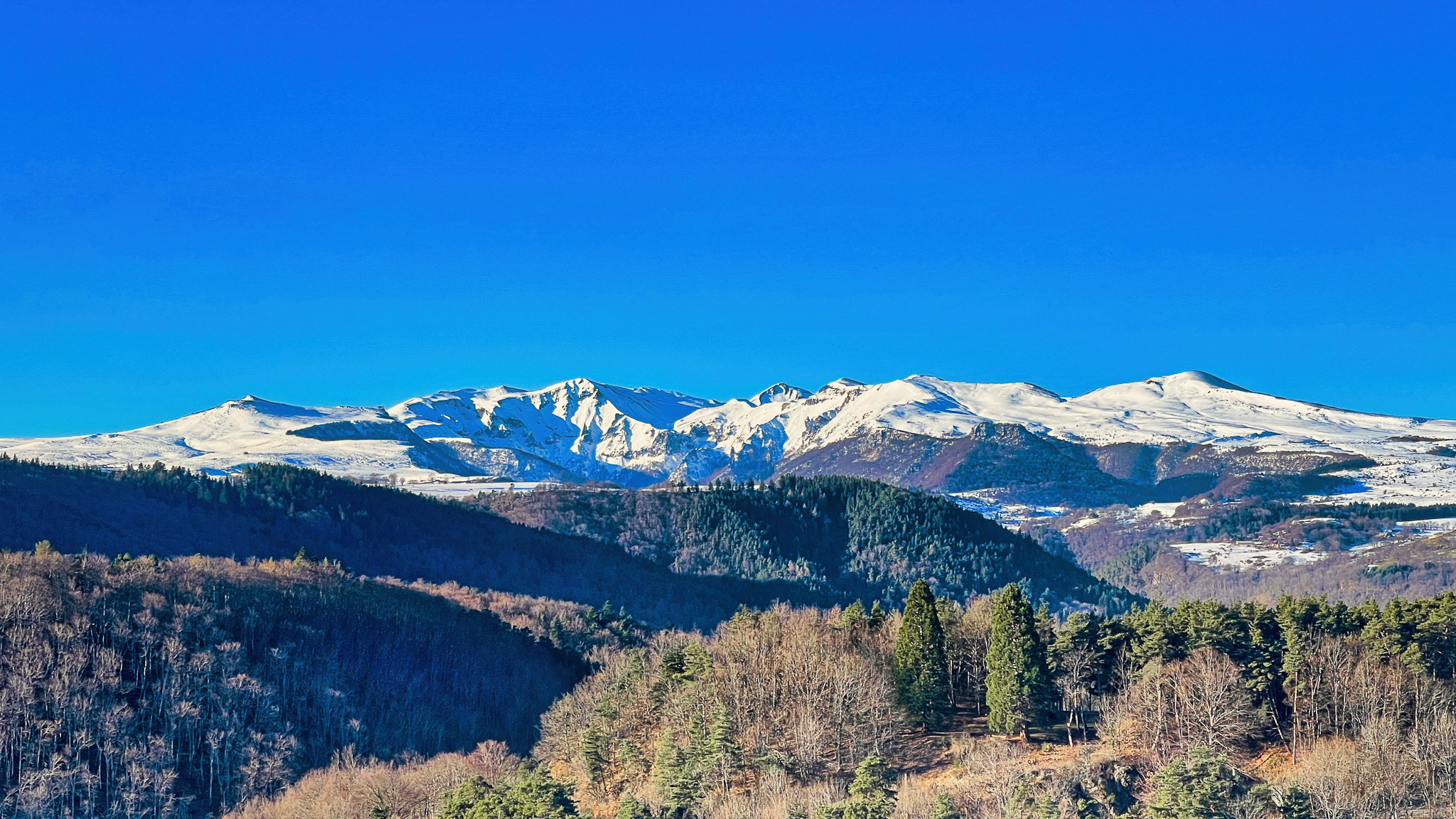 Massif du Sancy : Promenez-vous dans la forêt auvergnate, un écrin de verdure.