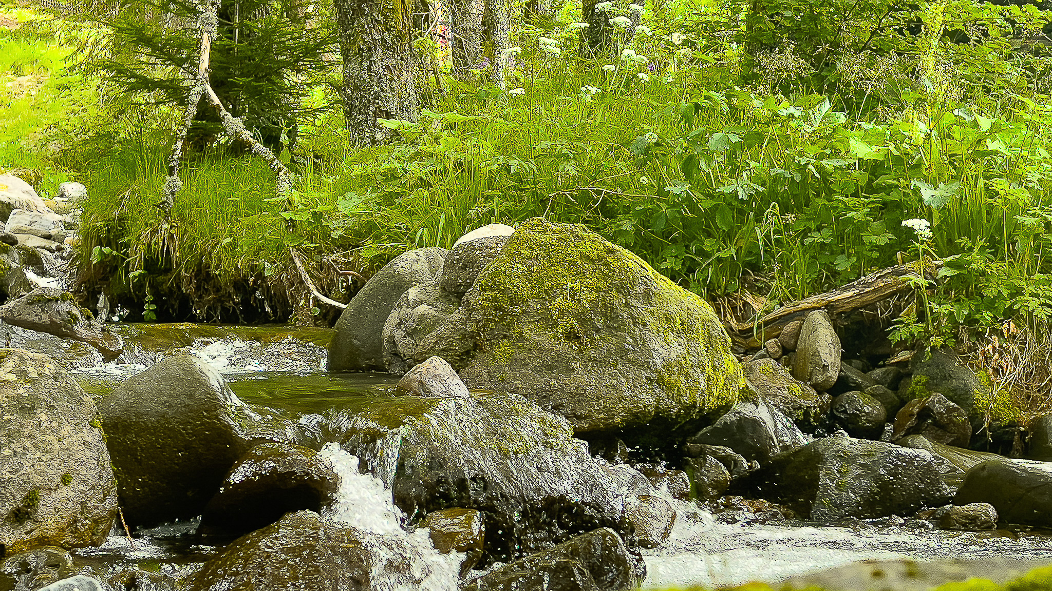 Massif du Sancy : Aux Sources de la Dordogne, du Puy de Sancy au Mont Dore