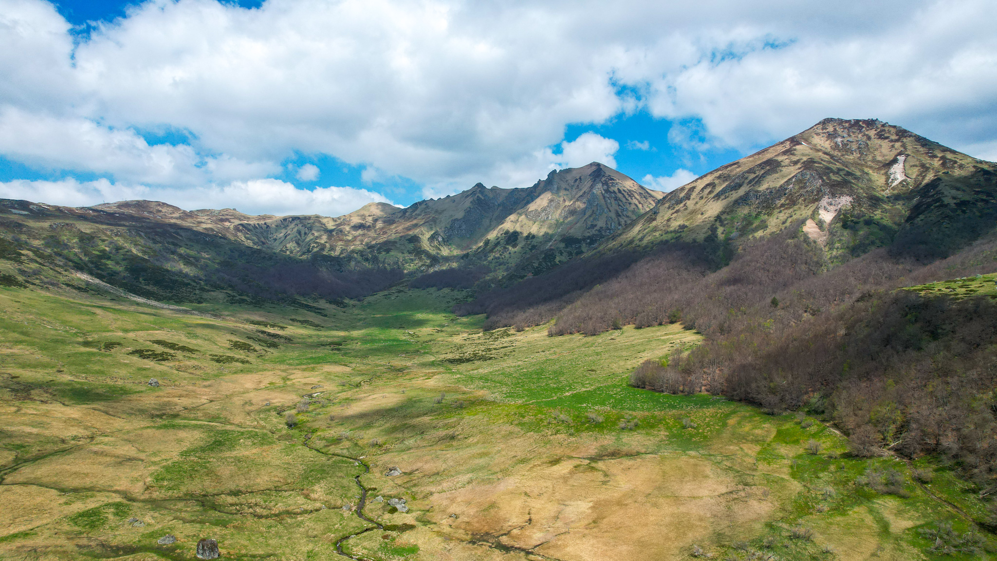 Découvrez la Réserve Naturelle de la Fontaine Salée, un joyau du Massif du Sancy.