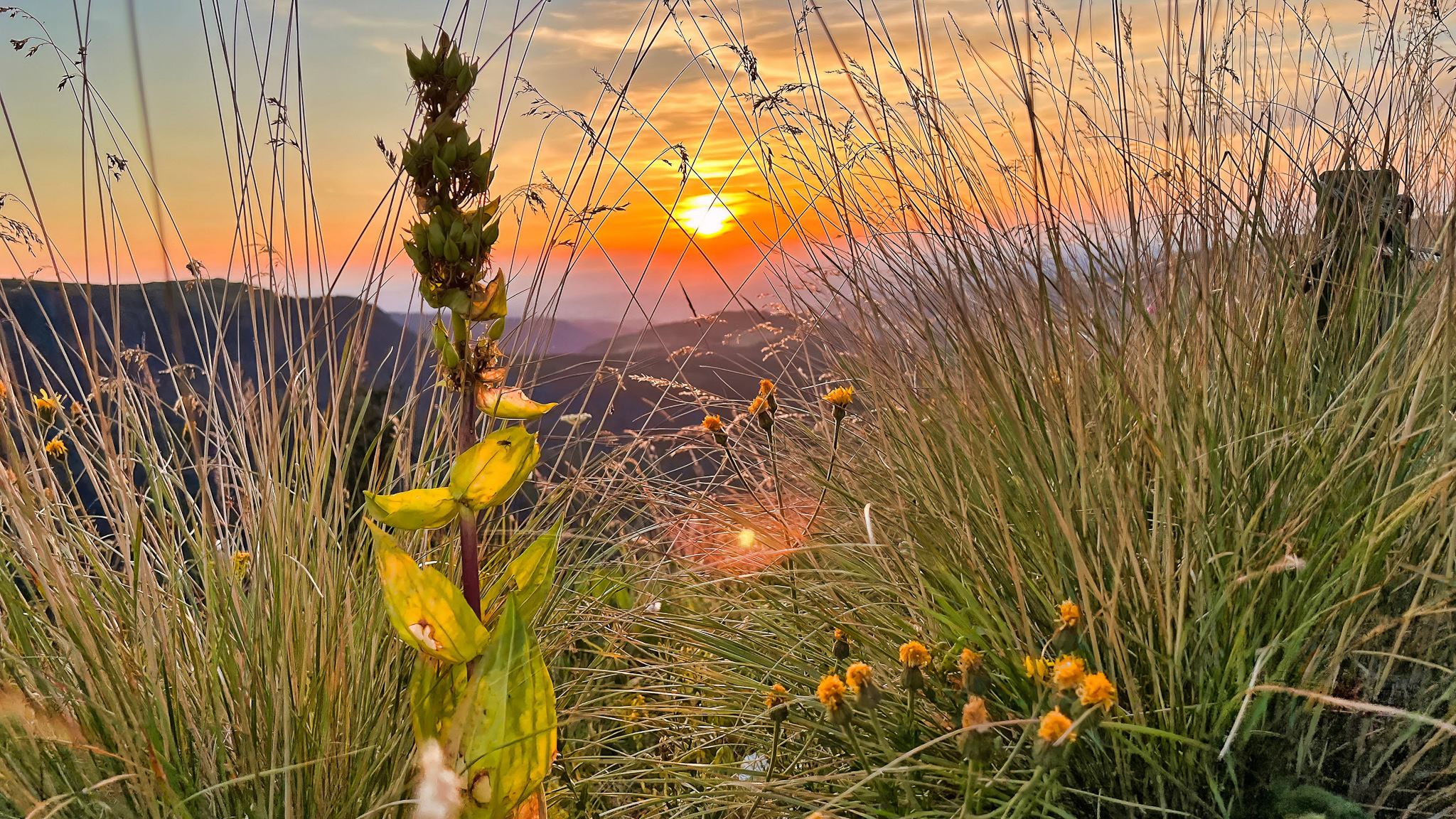 Sommet du Capucin au Mont Dore : Coucher de Soleil Magique