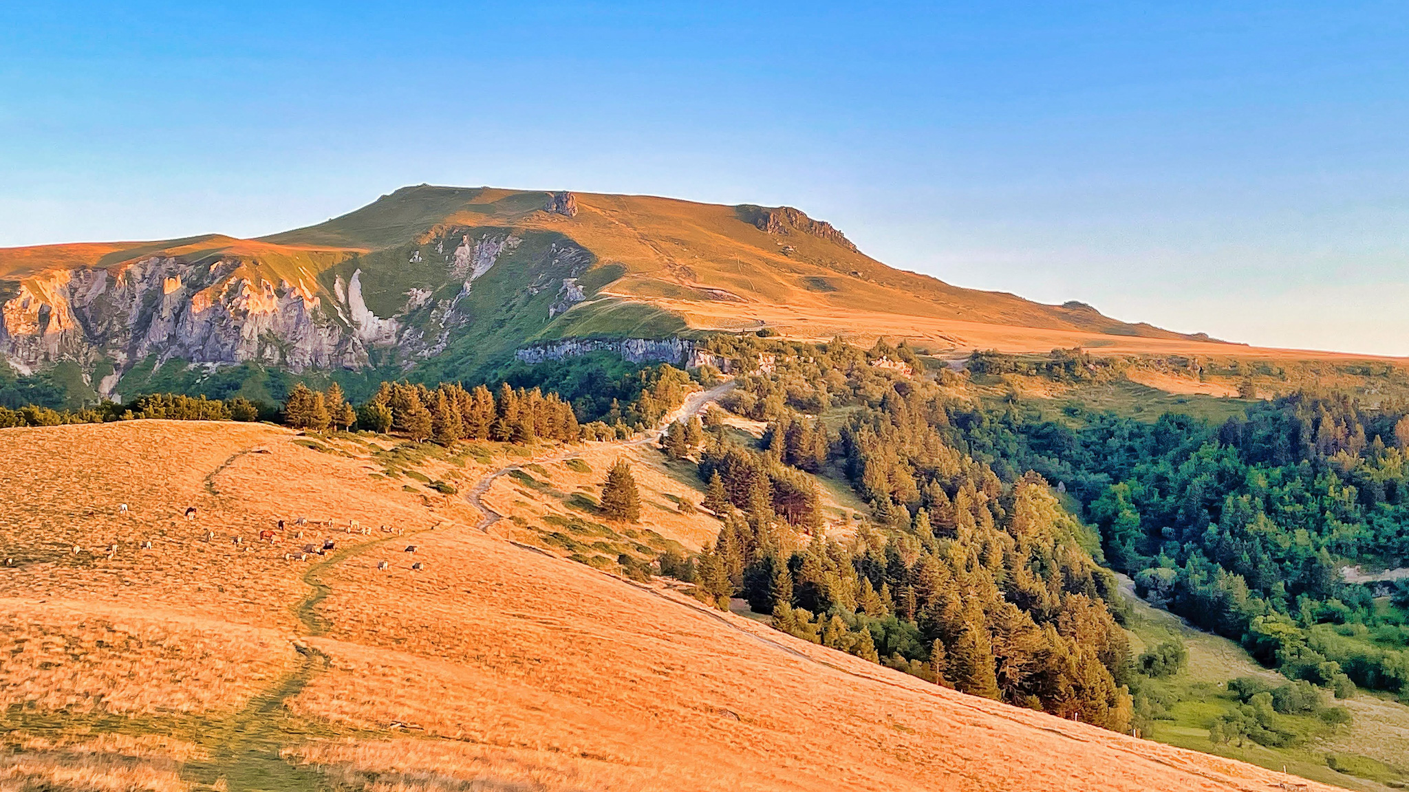 Le Capucin : Lumière Dorée sur le Puy de Cliergue