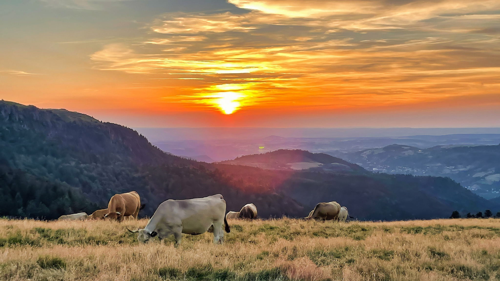 Massif du Sancy - Estives : Nature Sauvage et Splendide