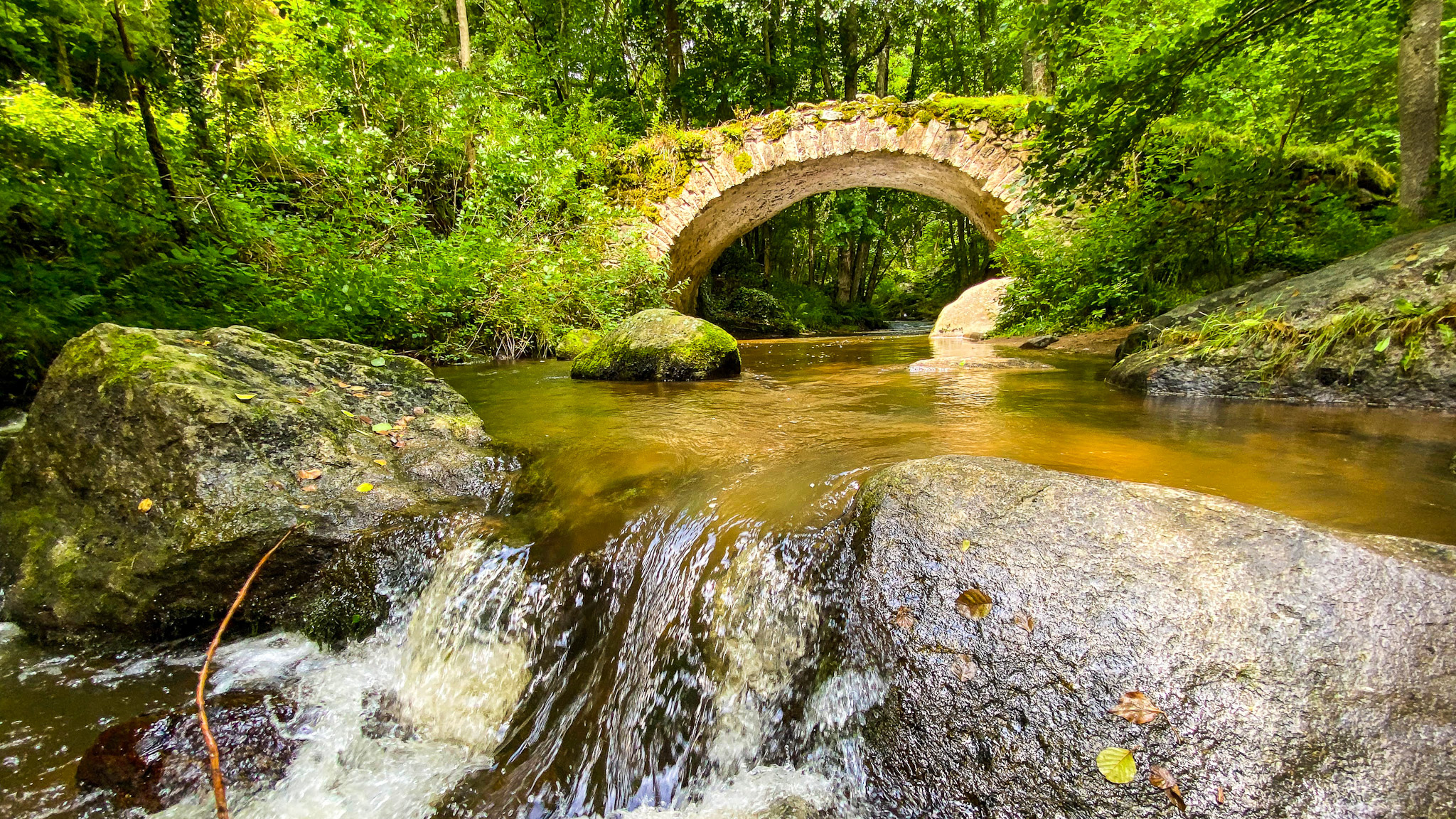 GR®30 : Du Lac d'Aydat à Saint-Nectaire, Un Sentier Authentique