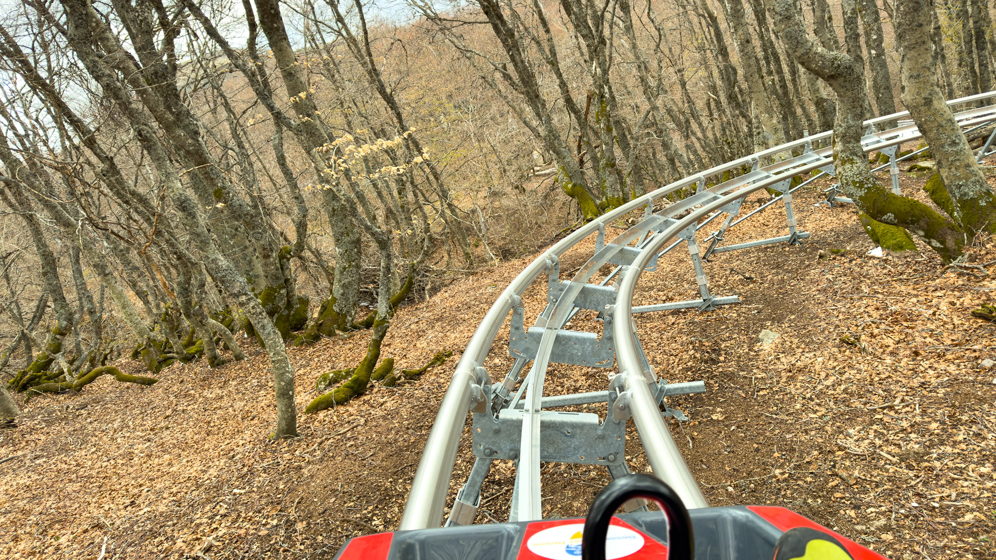 Super Coaster Super Besse : Descente Effrénée à Travers les Bois